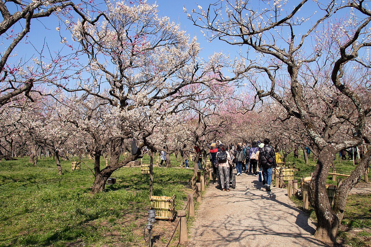 常磐公園の画像