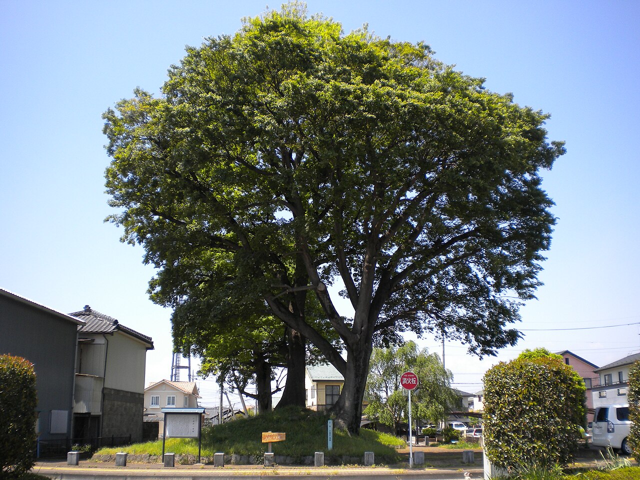 小金井一里塚の画像