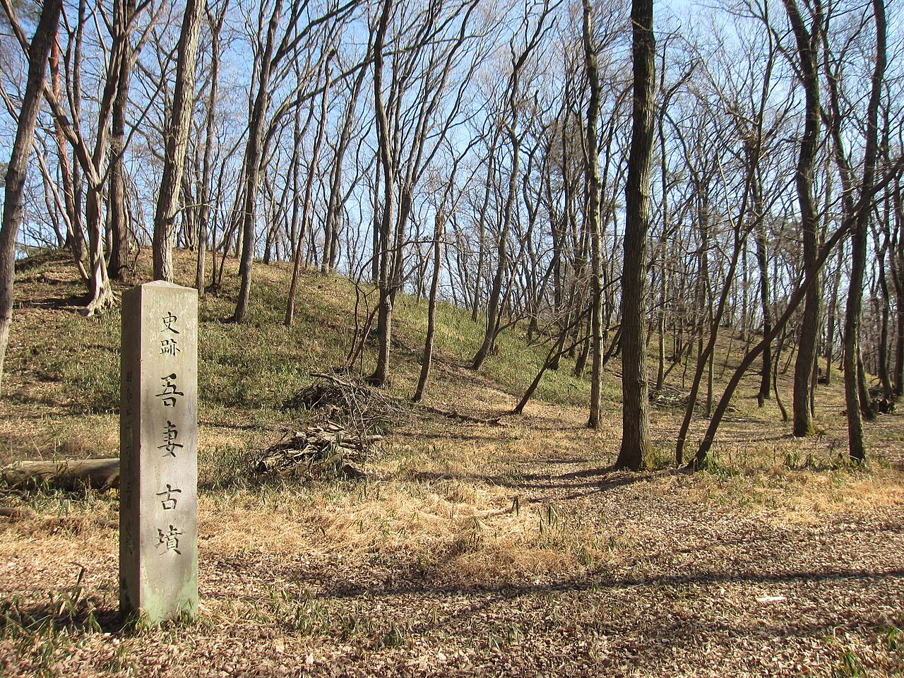 吾妻古墳の画像