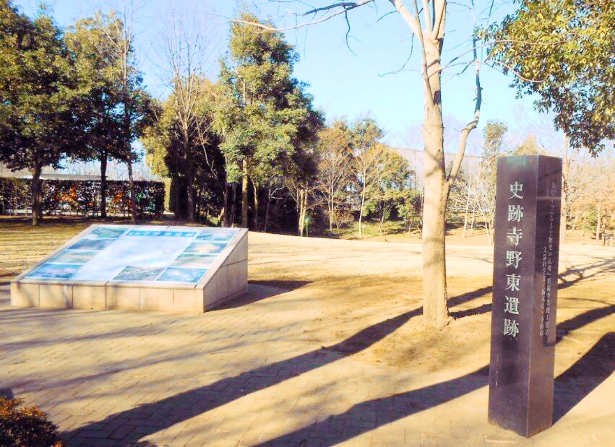 寺野東遺跡の画像