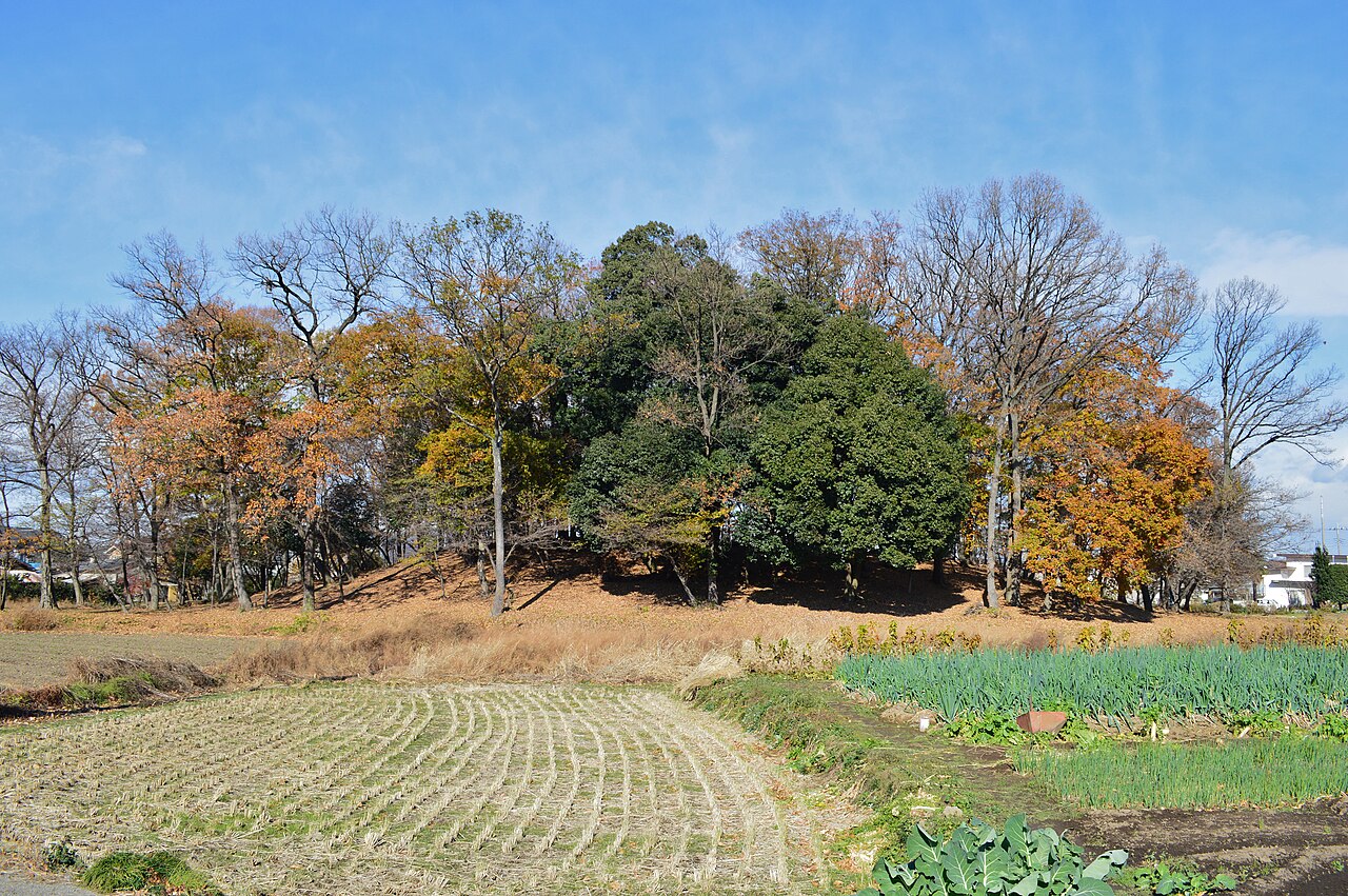 女体山古墳の画像