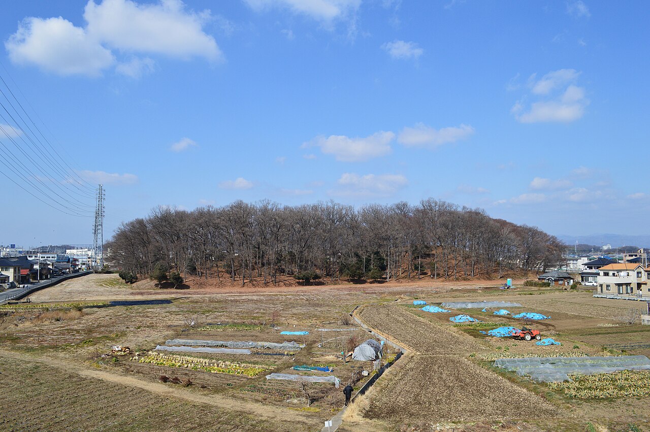 天神山古墳の画像