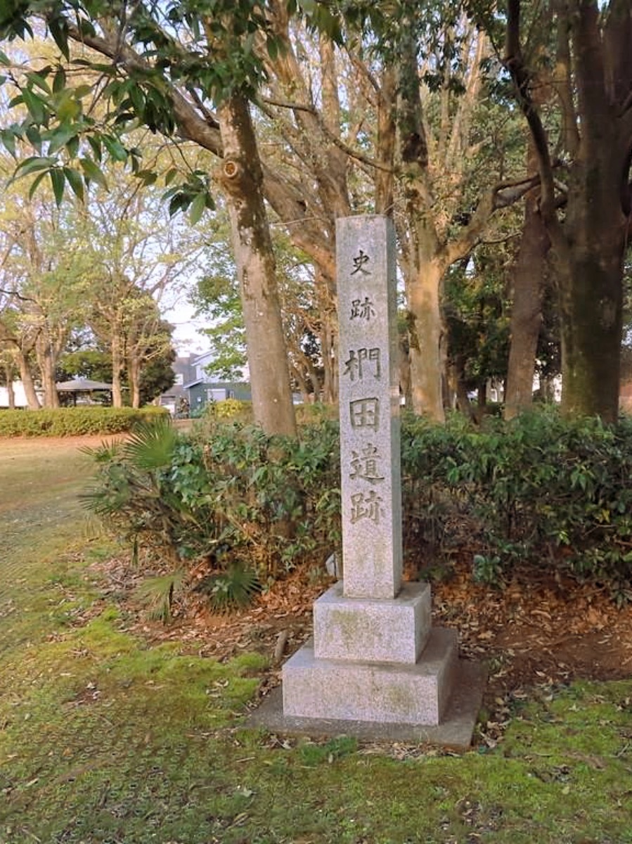 椚田遺跡の画像