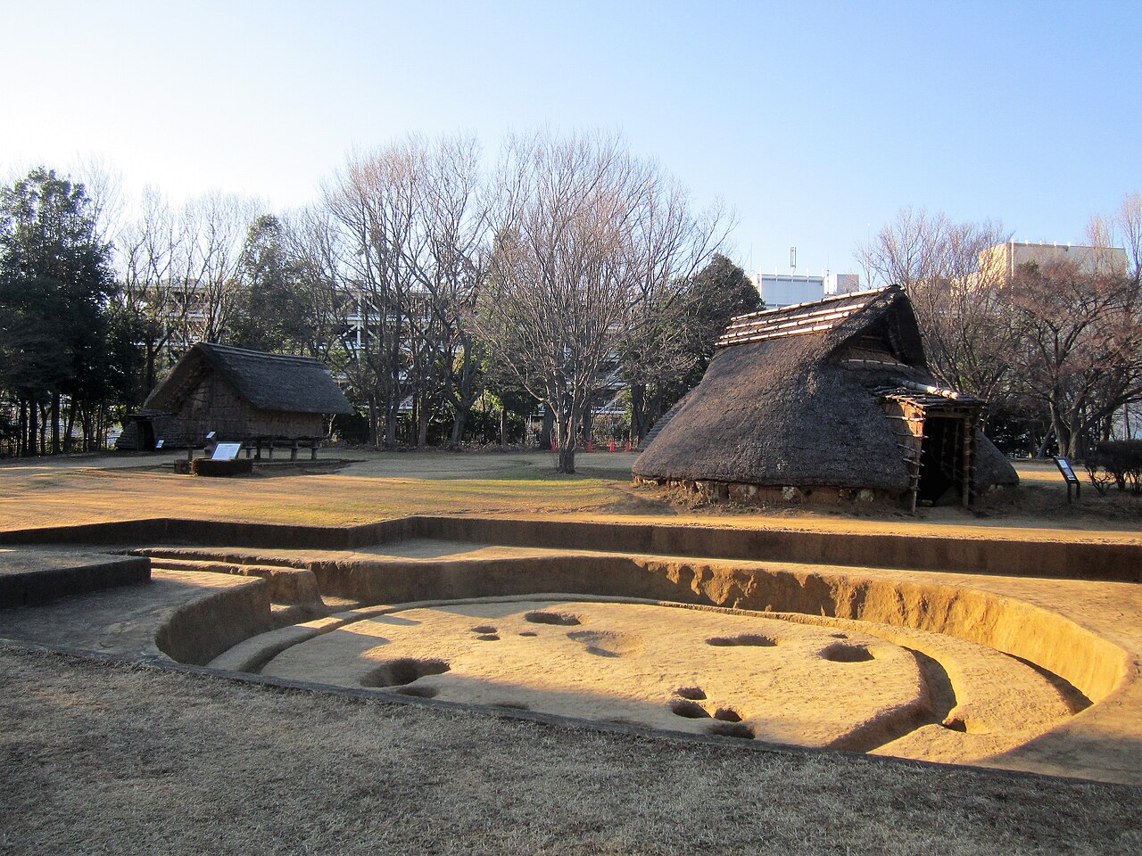 大塚・歳勝土遺跡の画像