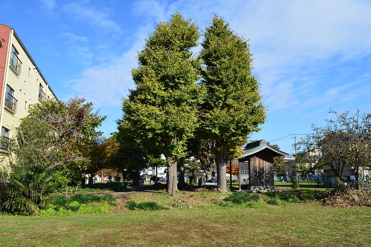 相模国分尼寺跡の画像