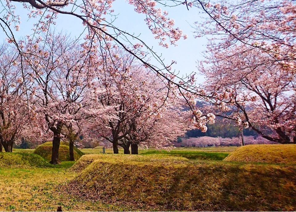 水科古墳群の画像