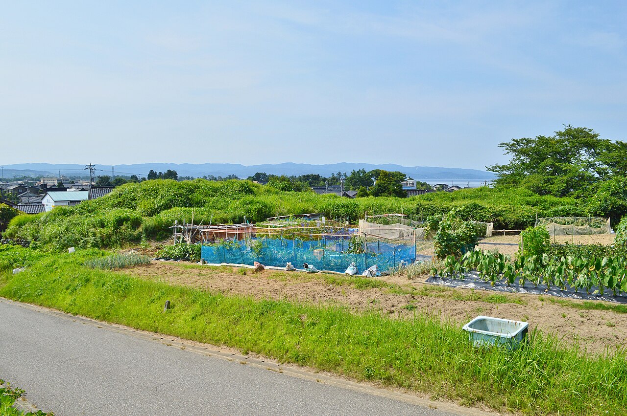 桜谷古墳の画像